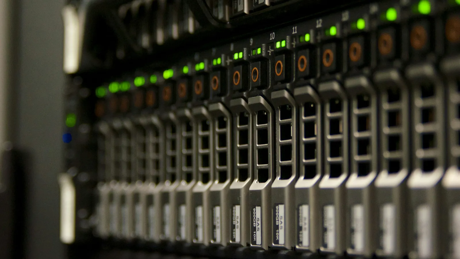 Close-up of a row of server drive bays in a rack, with small green status lights glowing above each bay.
