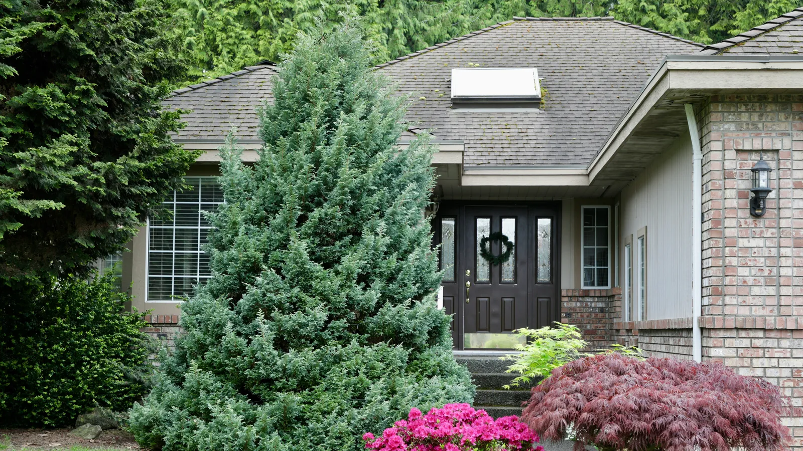 A suburban home's front entrance and garden, viewed from the walkway