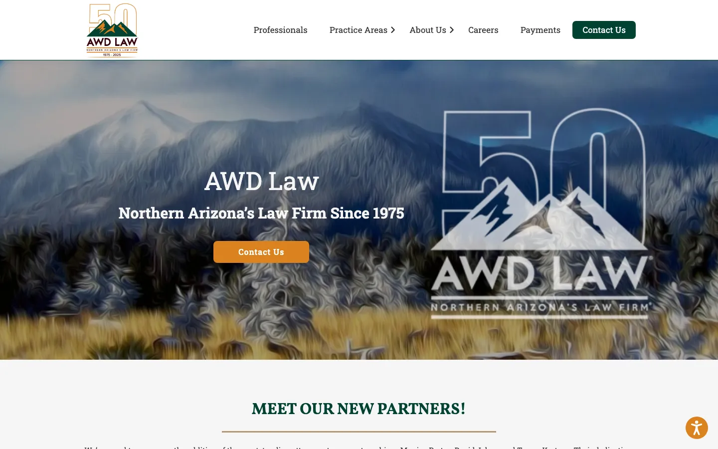 Screenshot of the AWD Law website