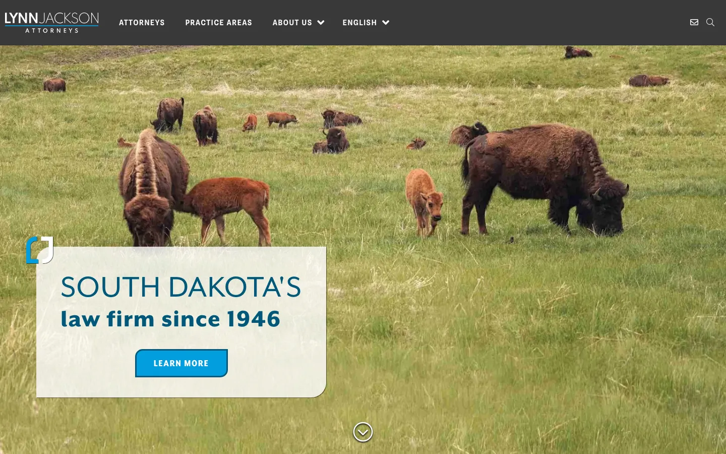 Screenshot of the Lynn, Jackson, Shultz & Lebrun, P.C. website